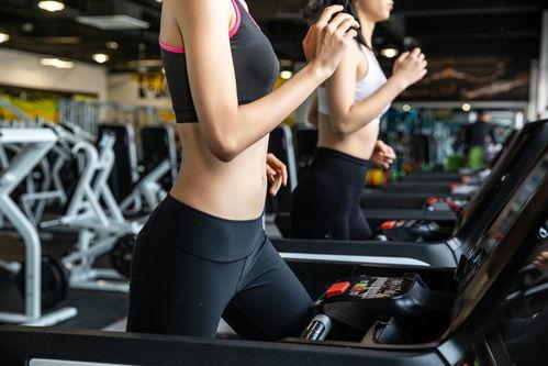 健身最新爆料文案短句,爆款短句背后的健身秘籍  第3张